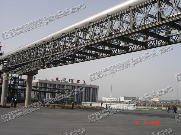 龍星化工200型 管道橋梁