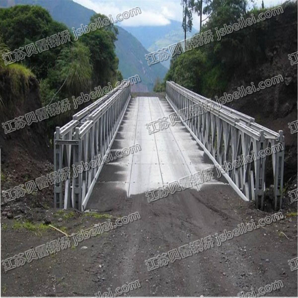 伊拉克30.48米鍍鋅橋